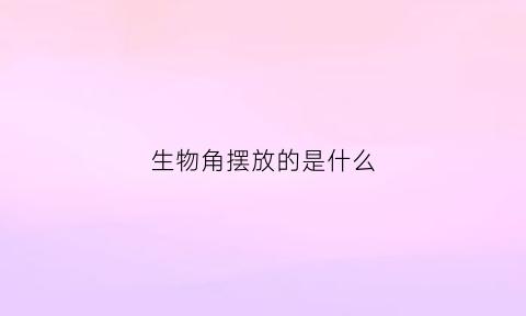 生物角摆放的是什么(生物角的布置)