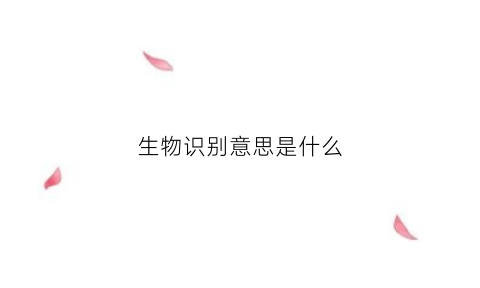 生物识别意思是什么(生物识别指的是)