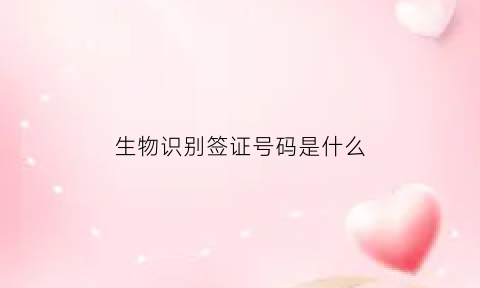 生物识别签证号码是什么(生物识别护照)