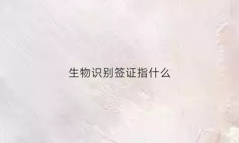 生物识别签证指什么(生物识别认证技术)