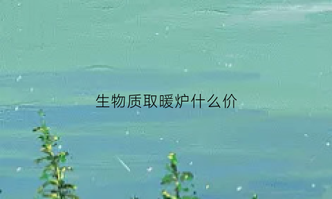 生物质取暖炉什么价(生物质取暖炉哪种牌子)