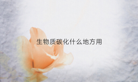 生物质碳化什么地方用(生物质碳汇)