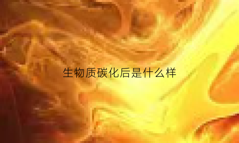 生物质碳化后是什么样