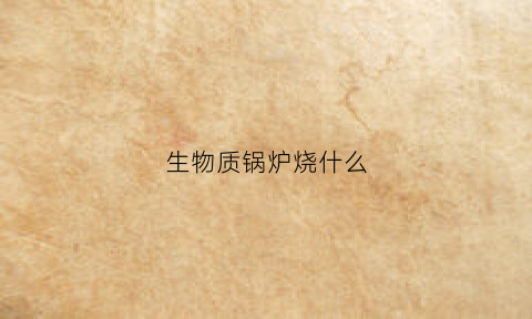 生物质锅炉烧什么(生物质锅炉烧什么东西)