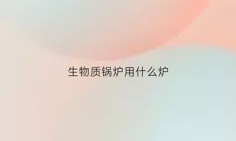 生物质锅炉用什么炉(生物质锅炉用什么炉子最好)