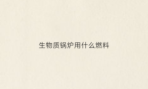 生物质锅炉用什么燃料(生物质锅炉有前途吗)