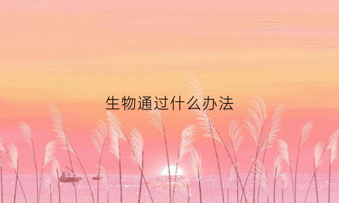 生物通过什么办法(生物通过什么办法分解糖类)