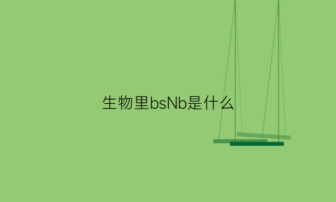 生物里bsNb是什么(生物中bp是什么)