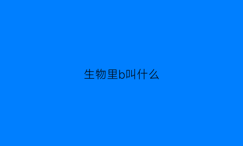 生物里b叫什么(生物中b是什么意思)