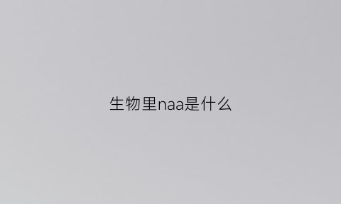 生物里naa是什么