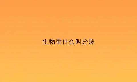 生物里什么叫分裂