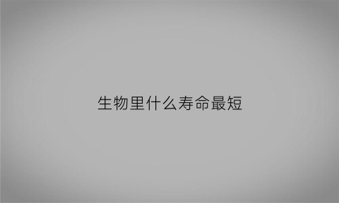 生物里什么寿命最短(什么生物的生命最短暂)