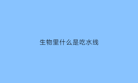 生物里什么是吃水线(什么叫吃水线)