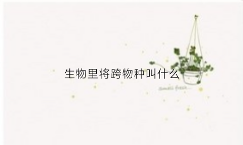 生物里将跨物种叫什么(跨物种结合)