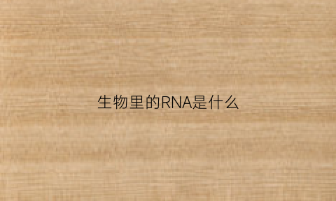 生物里的RNA是什么(生物里的rna是什么东西)