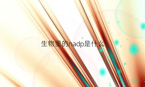 生物里的nadp是什么(生物中nadp是什么意思)