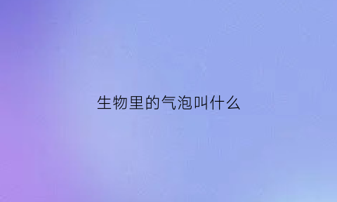 生物里的气泡叫什么(生物有液泡吗)
