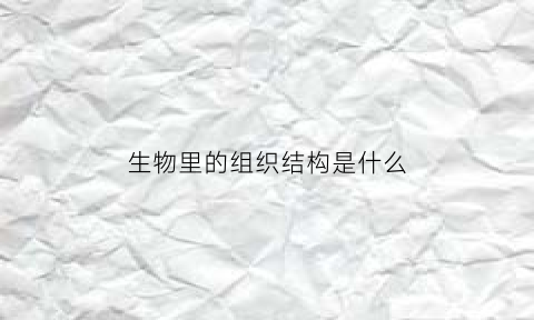 生物里的组织结构是什么(生物的组织组成)