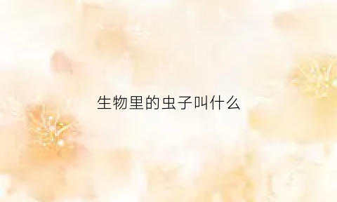 生物里的虫子叫什么(里面的生物)