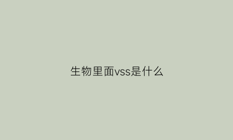 生物里面vss是什么