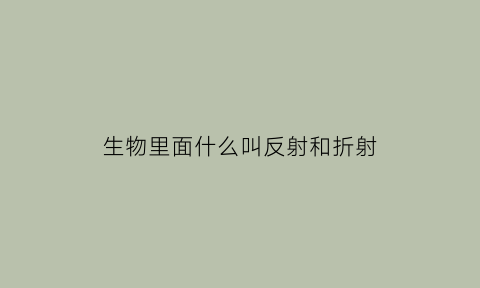 生物里面什么叫反射和折射(生物中反射的种类)