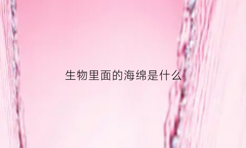 生物里面的海绵是什么(生物里面的海绵是什么物质)