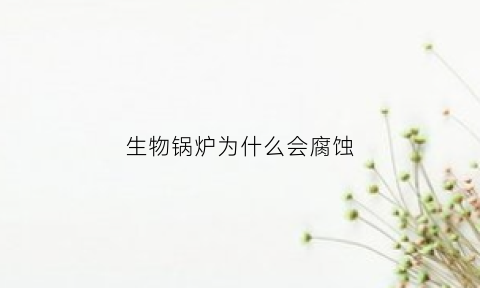 生物锅炉为什么会腐蚀