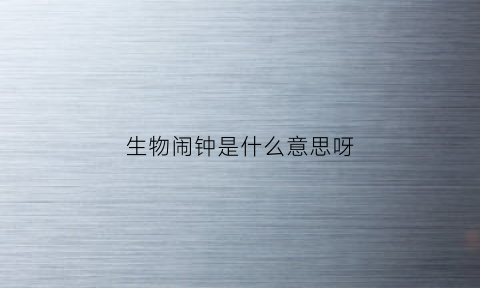 生物闹钟是什么意思呀(什么叫生物闹钟)