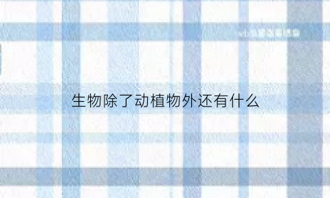 生物除了动植物外还有什么(生物中除了植物和动物外还有什么什么什么等微生物)