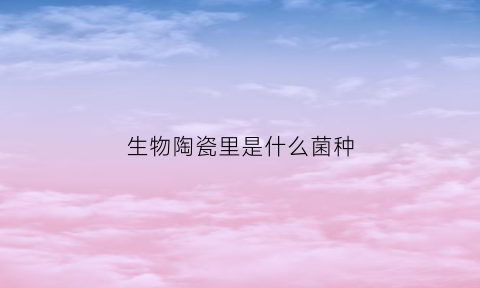 生物陶瓷里是什么菌种(生物陶瓷的成分)