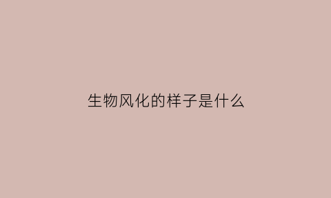 生物风化的样子是什么(生物风化的样子是什么样的)