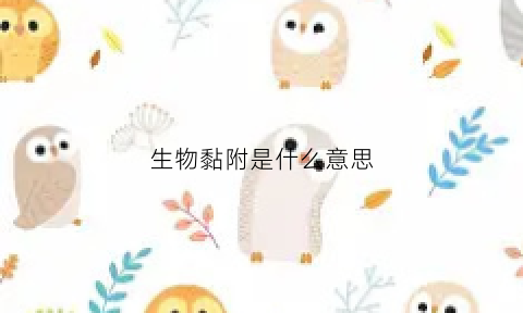 生物黏附是什么意思