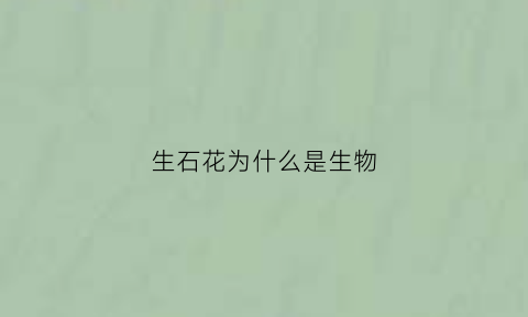 生石花为什么是生物(生石花为什么享有有生命的石头的美称)