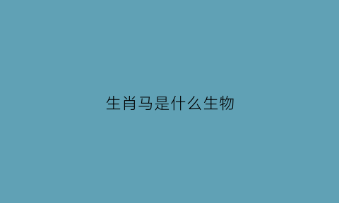 生肖马是什么生物(马是生肖吗)
