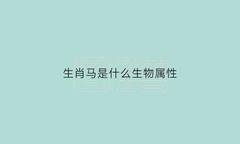 生肖马是什么生物属性(生肖马代表什么)