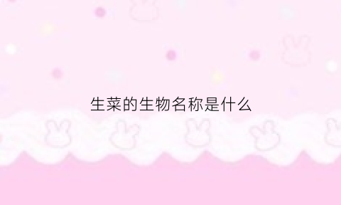 生菜的生物名称是什么(生菜有什么别名)