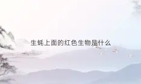 生蚝上面的红色生物是什么(生蚝外壳有红色的斑点)