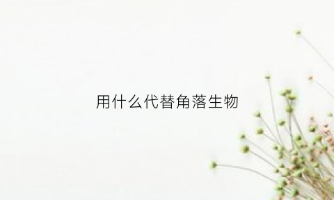 用什么代替角落生物