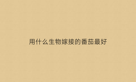 用什么生物嫁接的番茄最好(嫁接的番茄苗有什么特点)