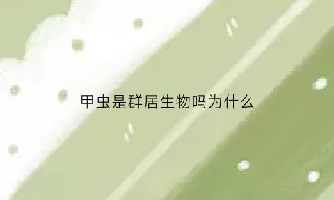 甲虫是群居生物吗为什么(甲虫是独居动物吗)