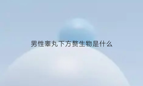 男性睾丸下方赘生物是什么(男性睾丸下面长了一个包)