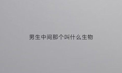 男生中间那个叫什么生物(男的中间那是什么)