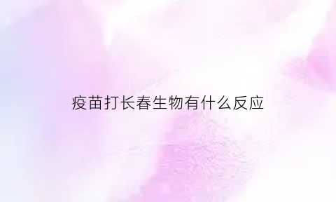 疫苗打长春生物有什么反应(疫苗打的长春生物)