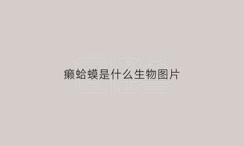 癞蛤蟆是什么生物图片