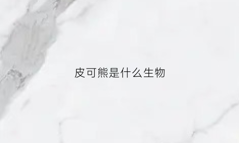 皮可熊是什么生物(皮可熊是哪国的)