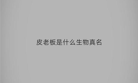 皮老板是什么生物真名(皮老板的原型)