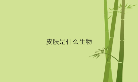 皮肤是什么生物(生物中皮肤是什么)