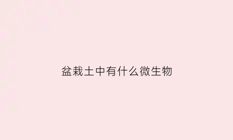 盆栽土中有什么微生物(盆栽里的土有毒吗)
