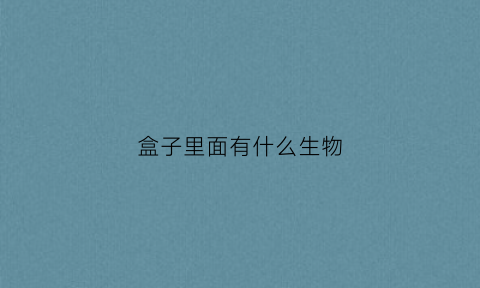 盒子里面有什么生物(盒子里面有什么生物图片)