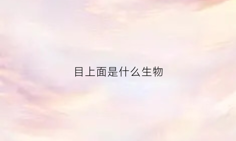 目上面是什么生物(上面是目下面是能是什么字)